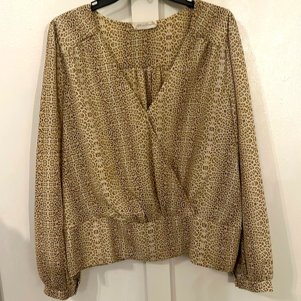 Leopard Print V-Neck Blouse